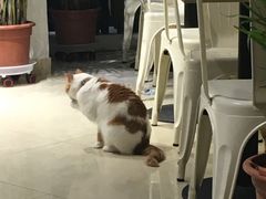 -小时光咖啡馆(开森度假森林店)