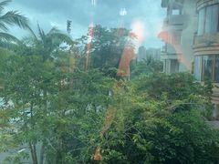 -蠔爺王志德生蚝馆(金沙湾店)