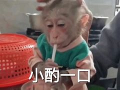 -ROCHO(仁恒江湾城店)