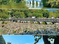 -星湖旅游景区七星岩