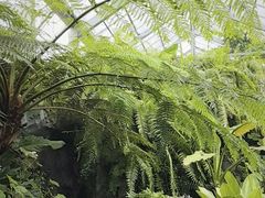 -国家植物园南园