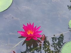 -云溪植物园