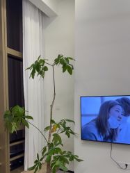 -JNK皮肤管理中心