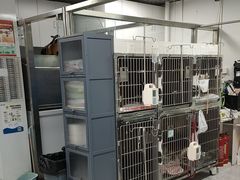 -达爱动物医院·犬猫分区·CT·复杂眼科(远洋山水分院)
