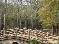 -白水寺森林公园