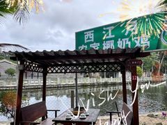 -东郊椰林