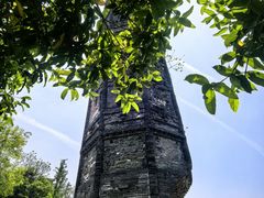 -上海佘山国家森林公园天马山园