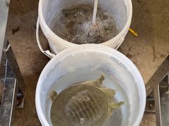 -粮心小农·大头虾亲子生态园(长发店)