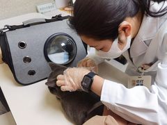 -谐和贝康宠物医院24小时·宠保定点(急重症转诊中心)