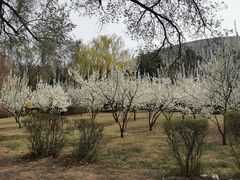 -东北大学(南湖校区)