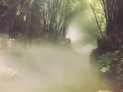 -川西竹海景区