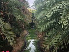 -涠洲岛-圣母堂