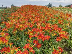 -汉长安城未央宫国家考古遗址公园