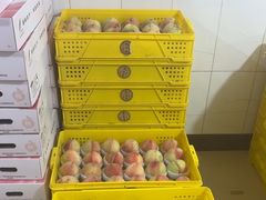 -老袁家蜜桃农场·阳山水蜜桃