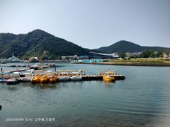-大连老虎滩海洋公园