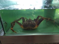 阿拉斯加帝王蟹-解放碑威斯汀酒店-知味国际美食餐厅