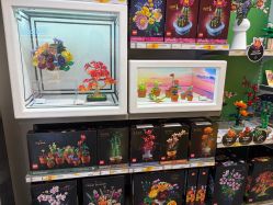 -乐高授权专卖店(朝阳大悦城店)