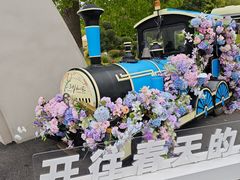 -上海鲜花港