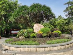 -滴水岩森林公园