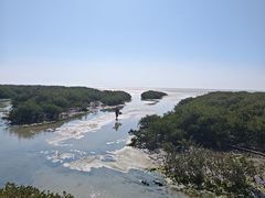 -北海金海湾红树林生态旅游区