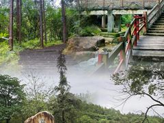 -广州白江湖森林公园