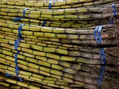 -江杨农产品批发市场