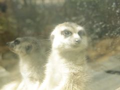 -昆明动物园