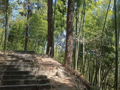 -东天目山风景区