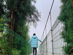 -九峰山