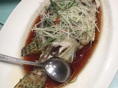 清蒸桂鱼-清水蘭軒