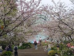 -南山植物园