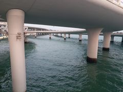 -演武大桥观景平台
