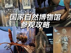 -国家自然博物馆