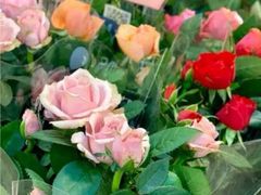 -双季花艺园艺市场(浦东店)