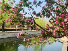 -海棠花溪(元大都城垣遗址公园)