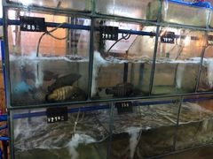 水产区-蓝湾碧波·老字号·疍家非遗海上餐厅