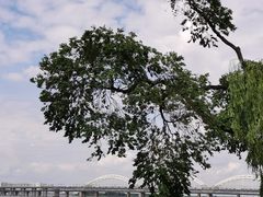 -人民防洪胜利纪念塔