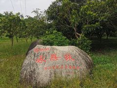 -韩湘水博园