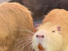 -水上乐园·欢乐世界