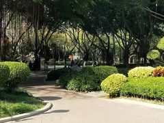 -江头公园