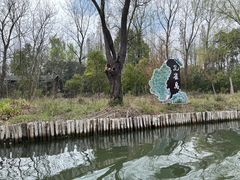 -溱湖国家湿地公园