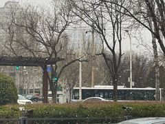 -赵州桥景区