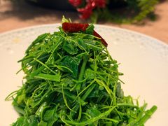 -香然会·园林雅宴(陆家嘴店)