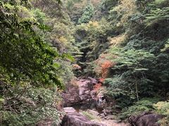 -花岩国家森林公园