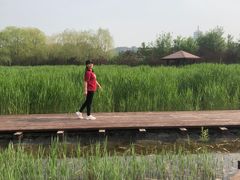 -永定河休闲森林公园