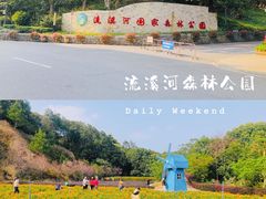 -广州市流溪河国家森林公园