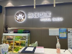 -MODEL SAGA名媛世家