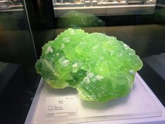 -湖南省地质博物馆