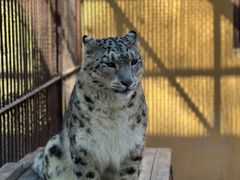 -青藏高原野生动物园