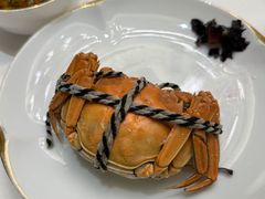 -京彩臻品火锅